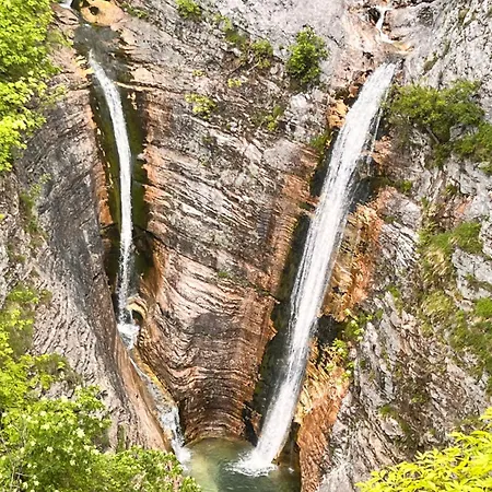 ゲストハウス Lulebore Lekbibaj