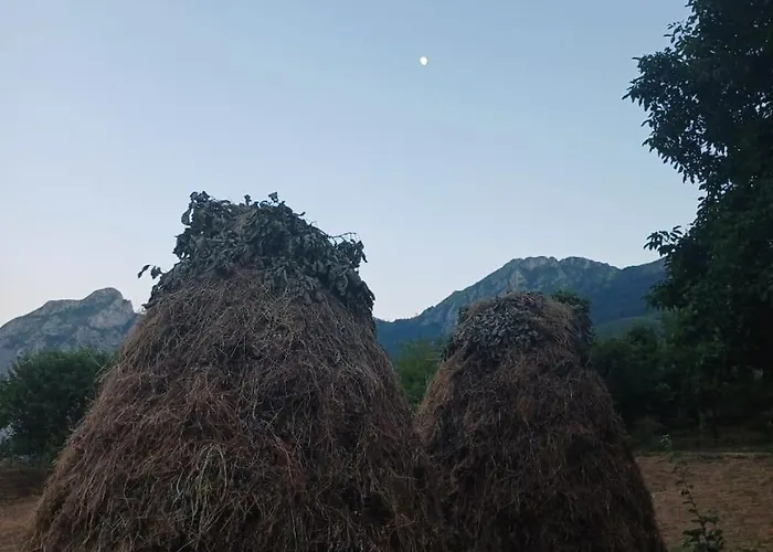 Guest house Lulebore