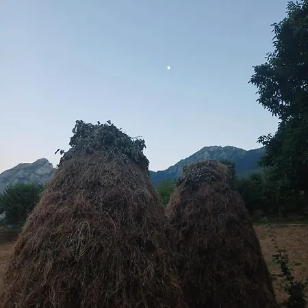 Guest house Lulebore