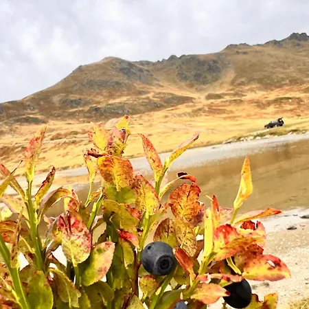 بيت ضيافة Lulebore *